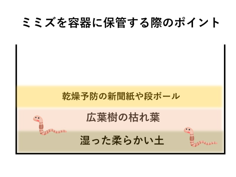 絶対に死なないドバミミズの保管方法は冷蔵庫 冷温庫 へるすどあブログ