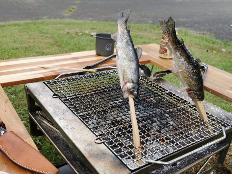炭火で釣った魚を焼きました