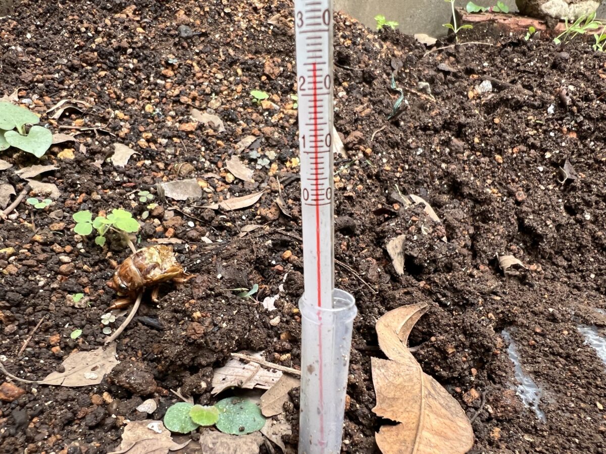 ドバミミズを庭で保管するときの温度計