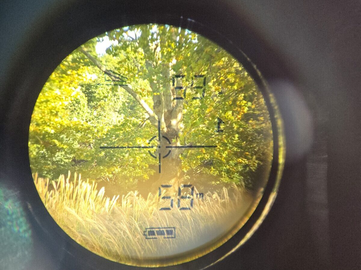 格安中華製レンジファインダーもしっかり使えている様子