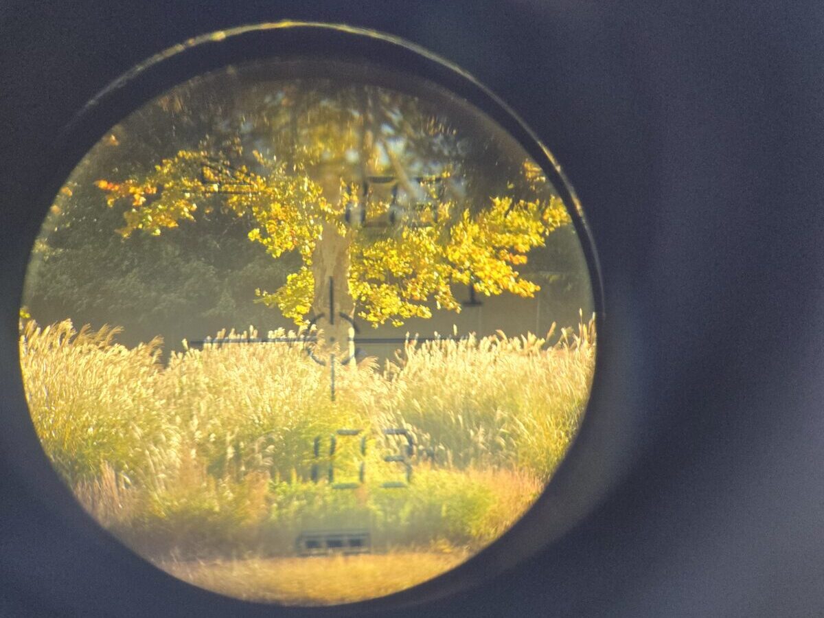 amazonで購入した核やレンジファインダーで100mがしっかり測定できている様子